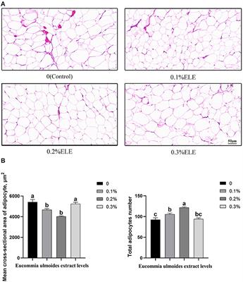 Effects of Different Supplemental Levels of Eucommia ulmoides Leaf Extract in the Diet on Carcass Traits and Lipid Metabolism in Growing–Finishing Pigs